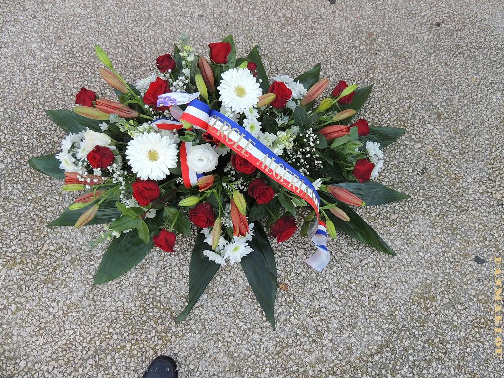 2024 12 05 TOULON HOMMAGE AUX MORTS POUR LA FRANCE EN AFN  (1).jpg